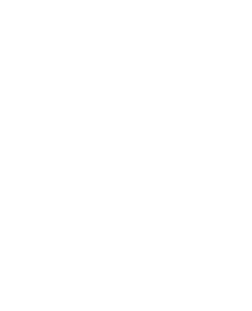 logo vizion branca - Editado